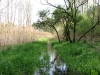 IMG_0383.jpg