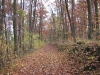 IMG_4044.jpg