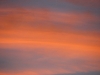 IMG_5526.jpg