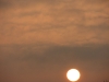 IMG_7315.jpg
