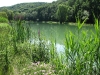 IMG_3562.jpg