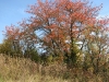 IMG_2708.jpg